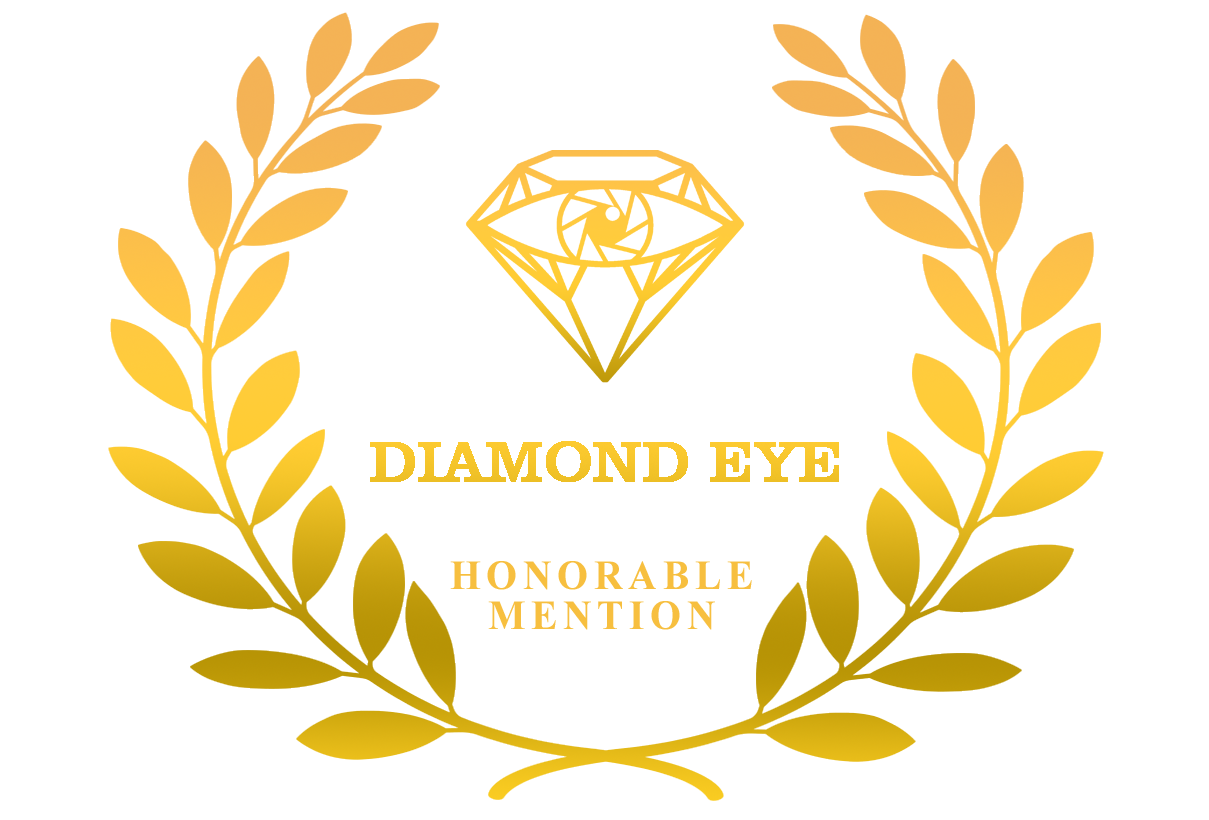 Honorable Mention Diamond eye copy